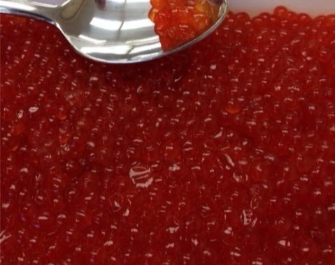 Salmon Roe