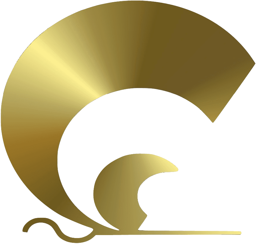 BigEye International Logo